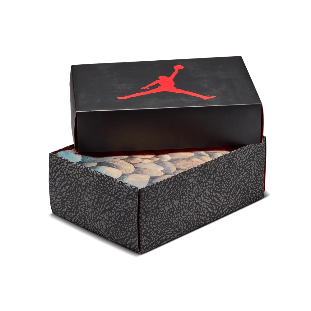 GS Air Jordan 3 Retro - Image 10