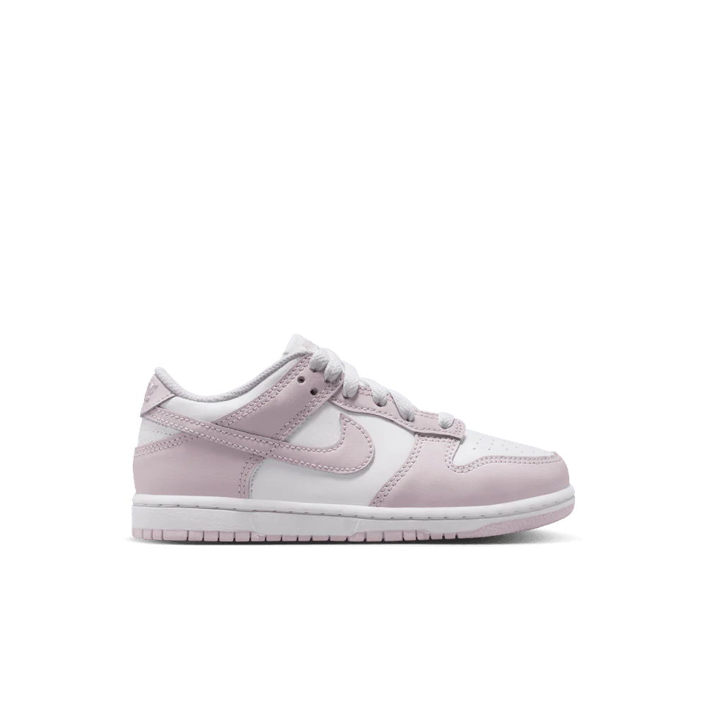 PS Nike Dunk Low