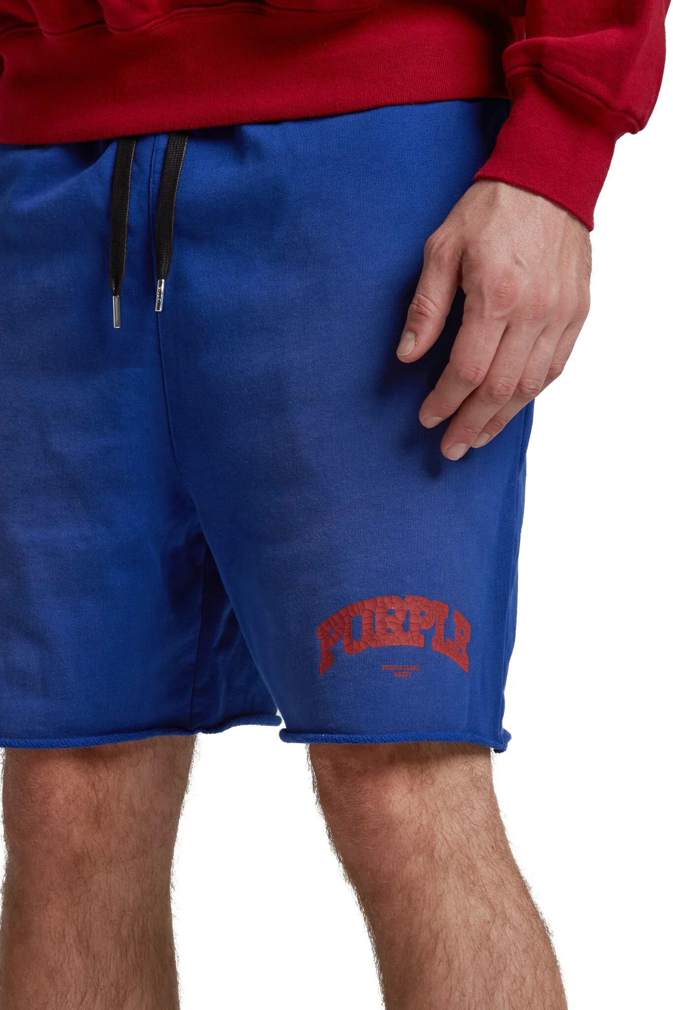 Purple Brand MWT Fleece Short - Image 3