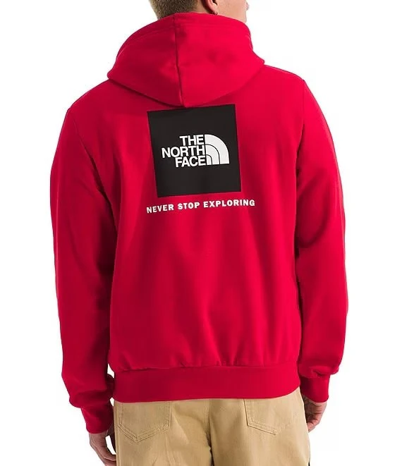 TNF Evolution Box NSE Hoodie - Image 2